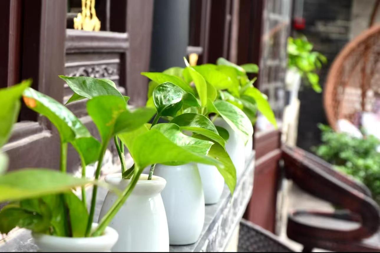 Pingyao Moonlight Guesthouse 外观 照片